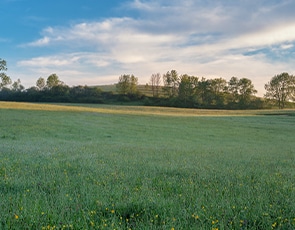 conception programme immobilier bourgogne